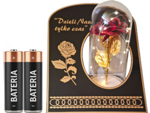 ZNICZ ZNICZE LAMPION NA GRÓB SKOS RÓŻA DR CZERWONA+LAMPKI LED